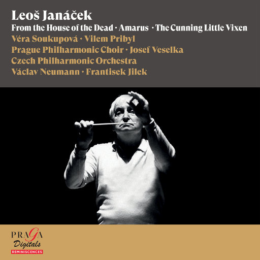 美女裸体被操在线观看
